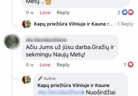 Kapų tvarkymas ir įrengimas Vilniuje, Kaune ir Klaipėdoje