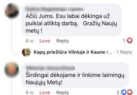 Kapų tvarkymas ir įrengimas Vilniuje, Kaune ir Klaipėdoje